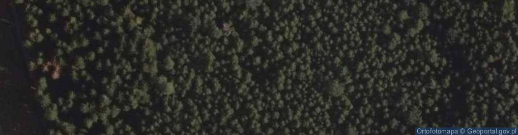 Zdjęcie satelitarne Uroczysko Las Walne