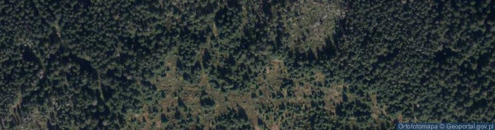 Zdjęcie satelitarne Uroczysko Las Wapienny Piec