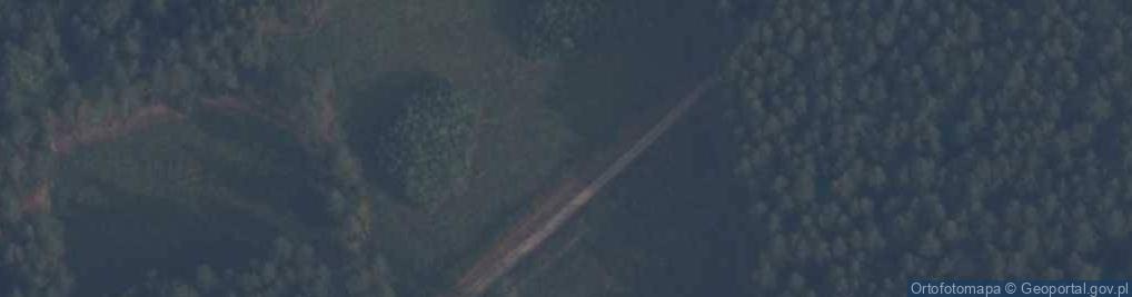 Zdjęcie satelitarne Uroczysko Las Wilcze Doły