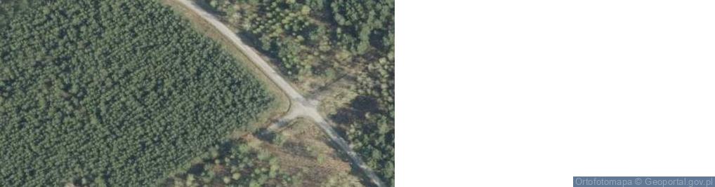 Zdjęcie satelitarne Uroczysko Las Wypalanka