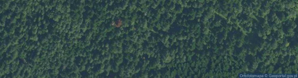 Zdjęcie satelitarne Uroczysko Las Wyrobiny