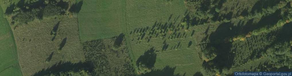 Zdjęcie satelitarne Uroczysko Łazy