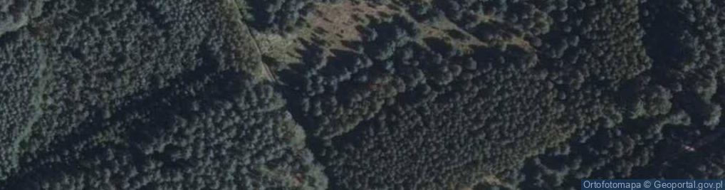 Zdjęcie satelitarne Uroczysko Leski