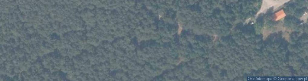 Zdjęcie satelitarne Uroczysko Leśna Wydma