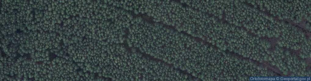 Zdjęcie satelitarne Uroczysko Linia Piastów