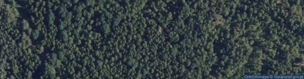 Zdjęcie satelitarne Uroczysko Łosia Biel