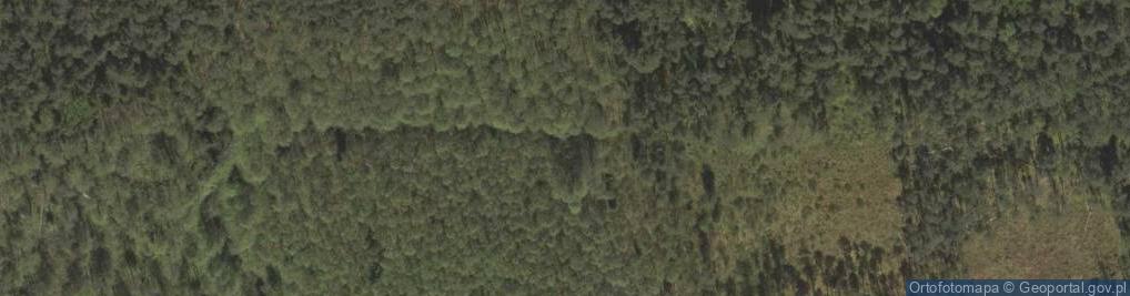 Zdjęcie satelitarne Uroczysko Łysa Góra