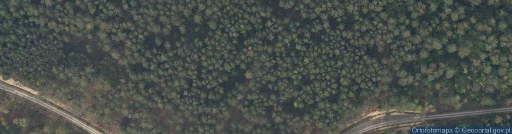 Zdjęcie satelitarne Uroczysko Maczugi