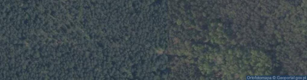 Zdjęcie satelitarne Uroczysko Mały Żak