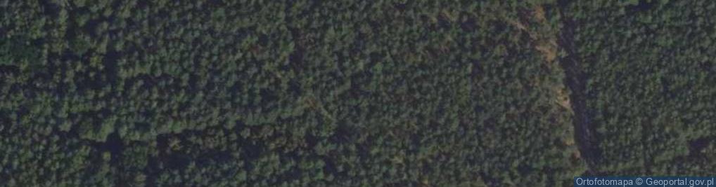Zdjęcie satelitarne Uroczysko Maradz