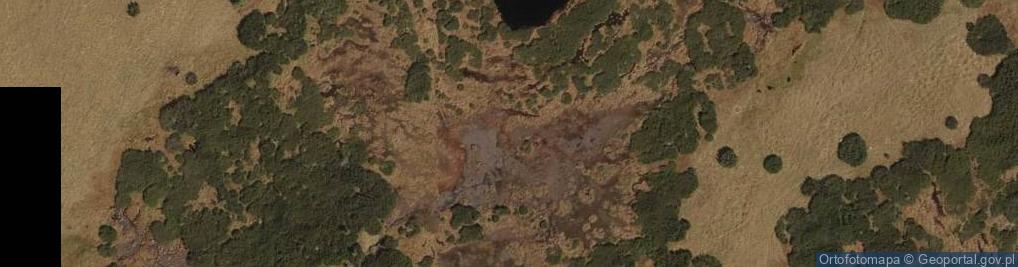 Zdjęcie satelitarne Uroczysko Młaki