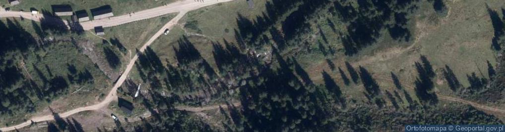 Zdjęcie satelitarne Uroczysko Nizna Jarząbcza Polana