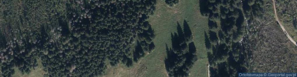 Zdjęcie satelitarne Uroczysko Olczyska Polana