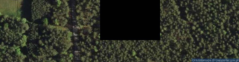 Zdjęcie satelitarne Uroczysko Olgiertówka