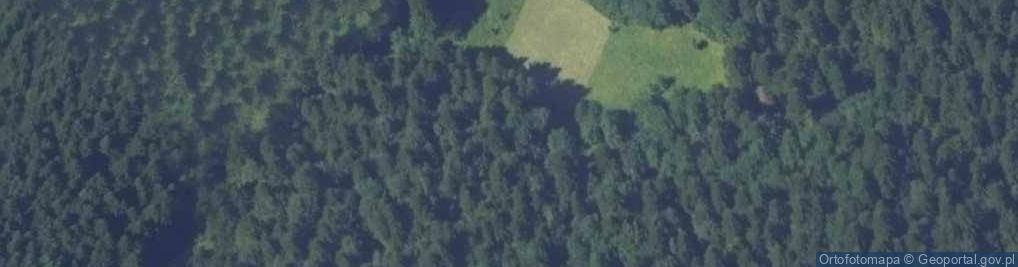 Zdjęcie satelitarne Uroczysko Palenica
