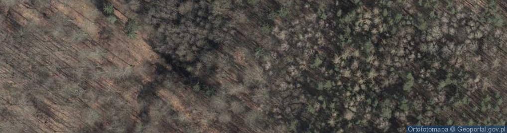 Zdjęcie satelitarne Uroczysko Park Leśny Arkoński