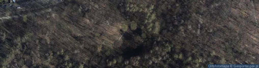 Zdjęcie satelitarne Uroczysko Park Miejski im. Jana III Sobieskiego