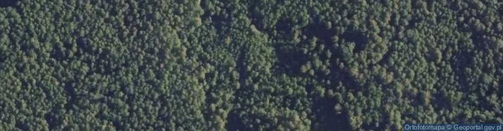 Zdjęcie satelitarne Uroczysko Piszczakowe Bagno