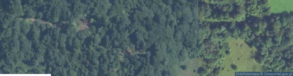 Zdjęcie satelitarne Uroczysko Podpolanki