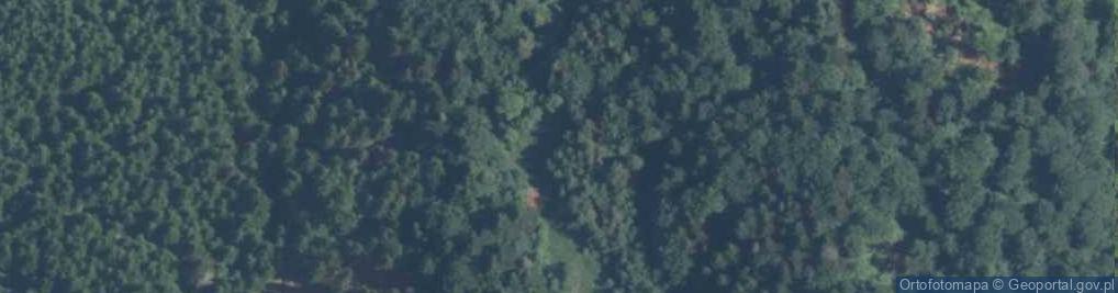 Zdjęcie satelitarne Uroczysko Pokrzywnica
