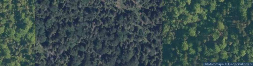 Zdjęcie satelitarne Uroczysko Polana Kręta
