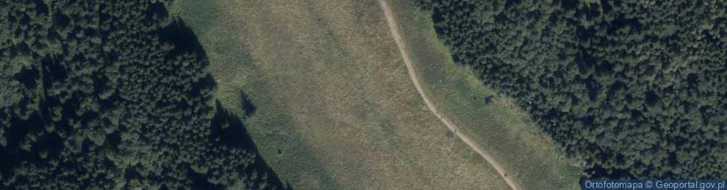 Zdjęcie satelitarne Uroczysko Polana Małej Łąki