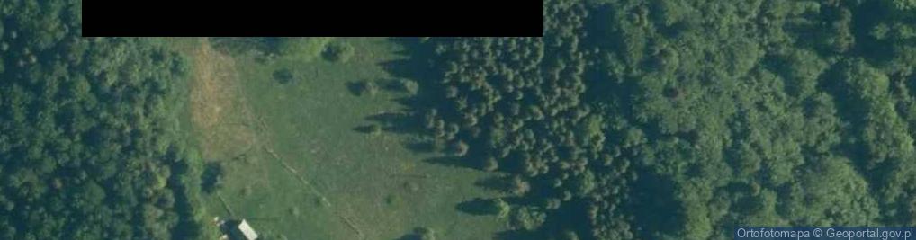 Zdjęcie satelitarne Uroczysko Polana Norczak