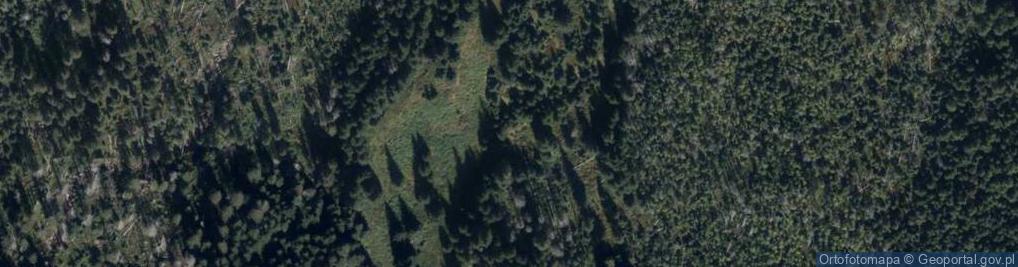 Zdjęcie satelitarne Uroczysko Polana Pańszczyca