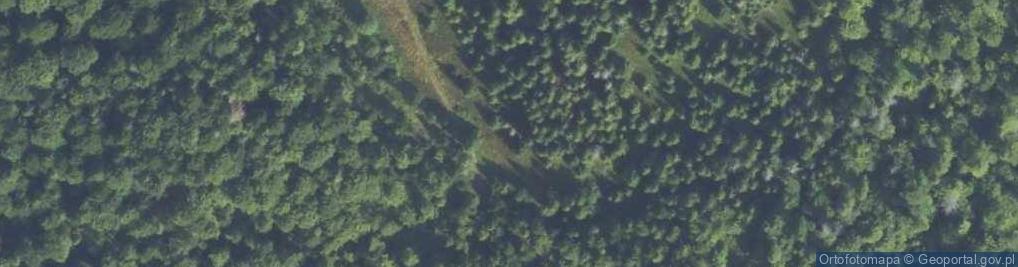Zdjęcie satelitarne Uroczysko Polana Tomaśkula