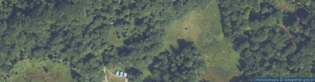 Zdjęcie satelitarne Uroczysko Polana Wały