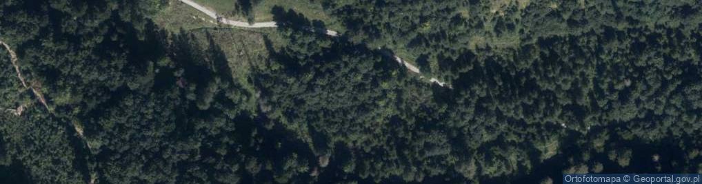 Zdjęcie satelitarne Uroczysko Polana Zahradziska