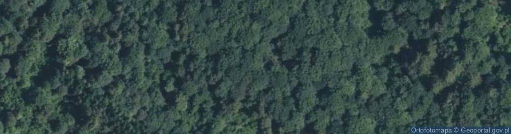 Zdjęcie satelitarne Uroczysko Polanki