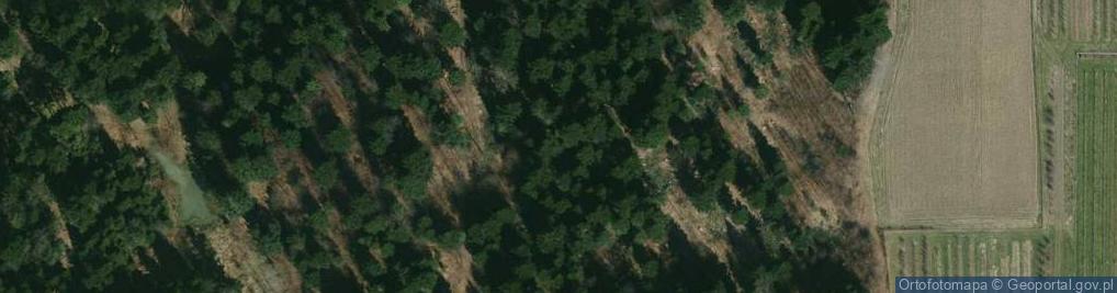 Zdjęcie satelitarne Uroczysko Przydatki