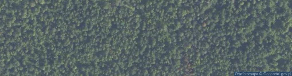 Zdjęcie satelitarne Uroczysko Puścizna Rękowiańska