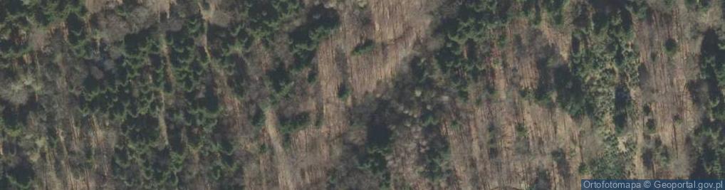 Zdjęcie satelitarne Uroczysko Rajsula