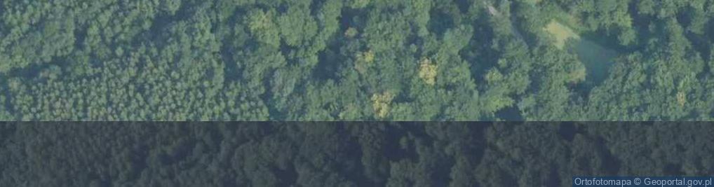 Zdjęcie satelitarne Uroczysko Rasiki