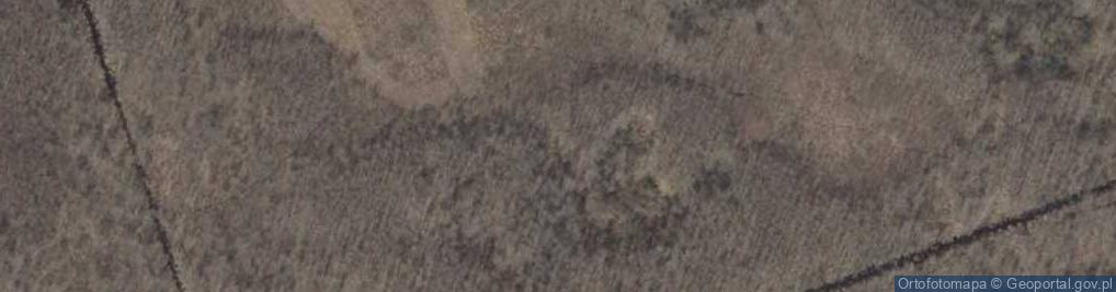 Zdjęcie satelitarne Uroczysko Rynki