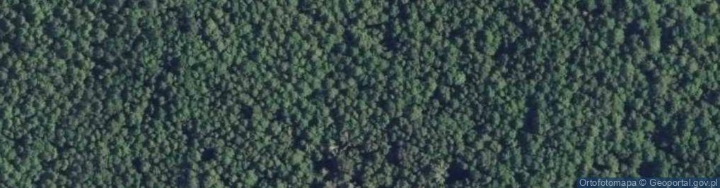 Zdjęcie satelitarne Uroczysko Samęciski