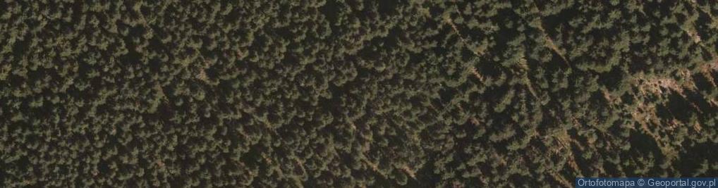 Zdjęcie satelitarne Uroczysko Sępik