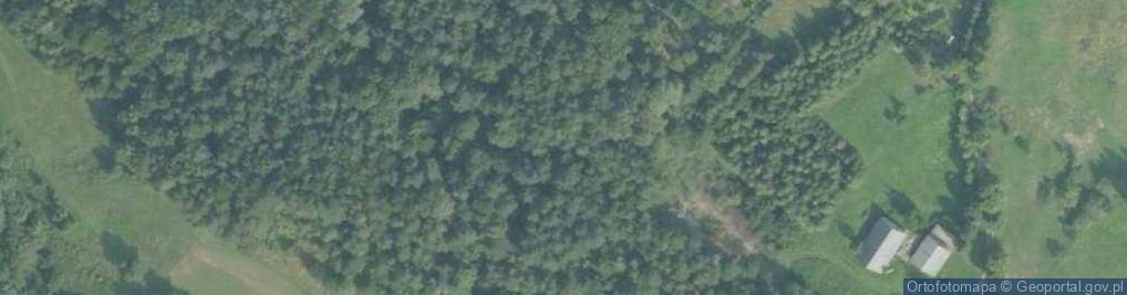 Zdjęcie satelitarne Uroczysko Soślina