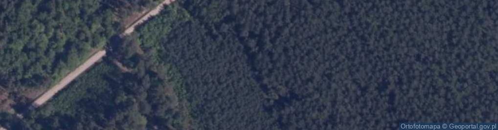 Zdjęcie satelitarne Uroczysko Sowia Góra