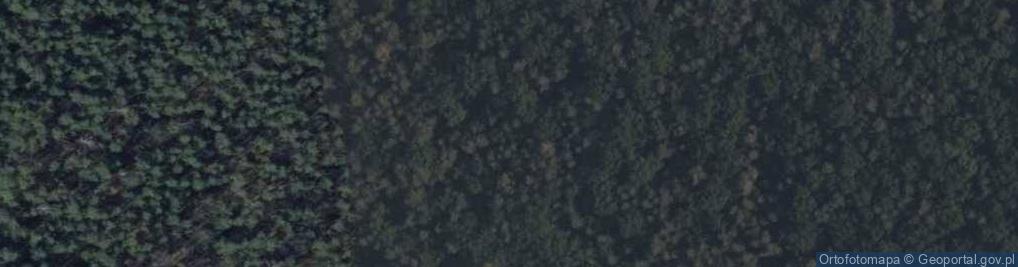 Zdjęcie satelitarne Uroczysko Sowie Góry
