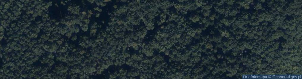 Zdjęcie satelitarne Uroczysko Spaleniec