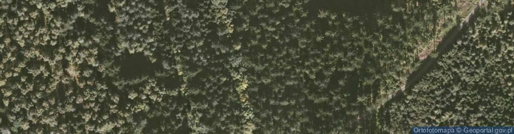 Zdjęcie satelitarne Uroczysko Stankowicki Las
