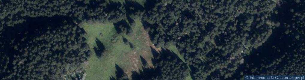 Zdjęcie satelitarne Uroczysko Stara Polana