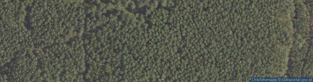 Zdjęcie satelitarne Uroczysko Stołpnica
