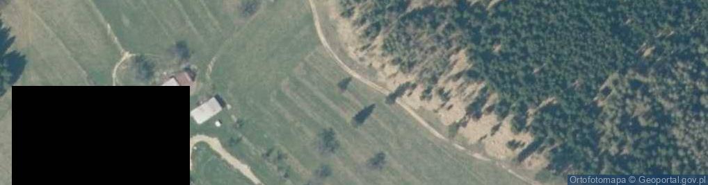 Zdjęcie satelitarne Uroczysko Styrułowa Polana