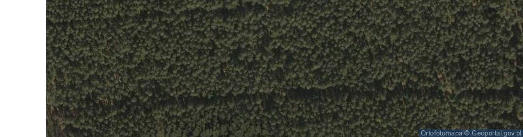 Zdjęcie satelitarne Uroczysko Suchary
