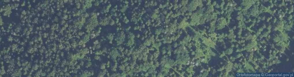 Zdjęcie satelitarne Uroczysko Suchy Dział