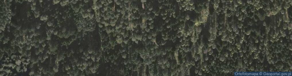 Zdjęcie satelitarne Uroczysko Świecki Las